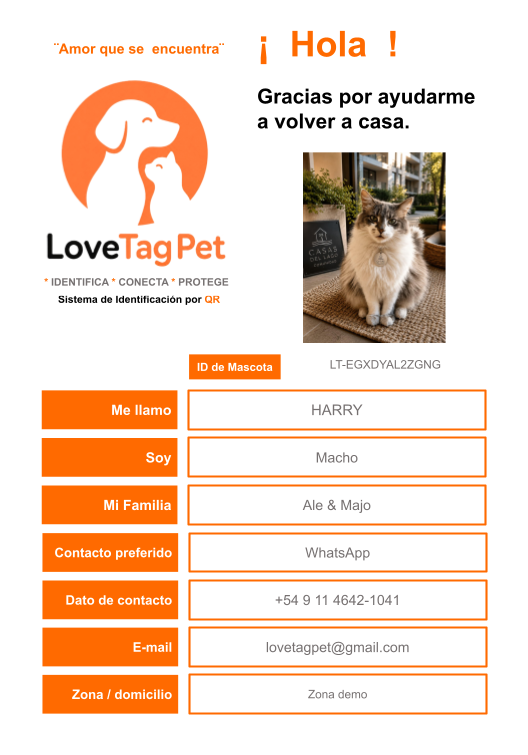 Ficha demo LoveTag Pet